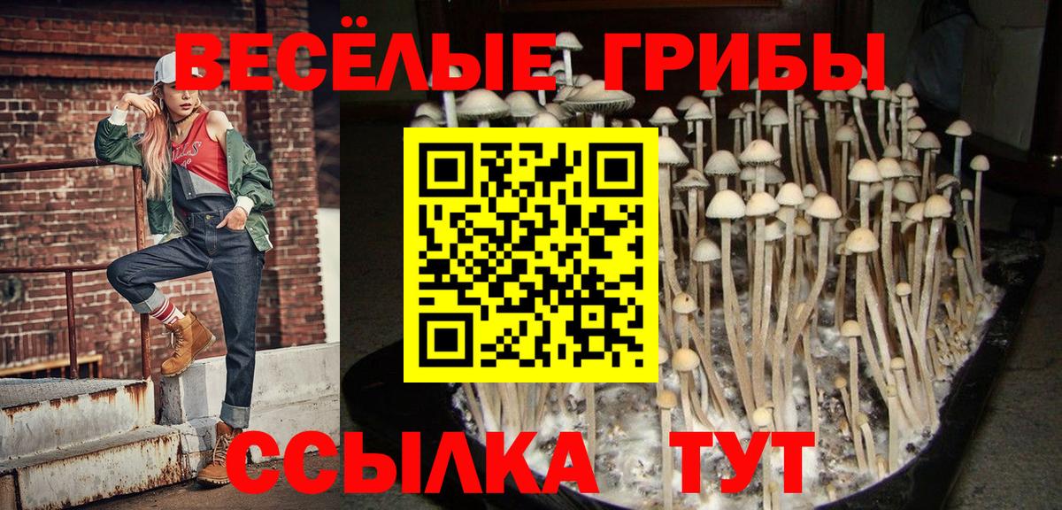 Псилоцибиновые грибы Magic Shrooms Мариинск