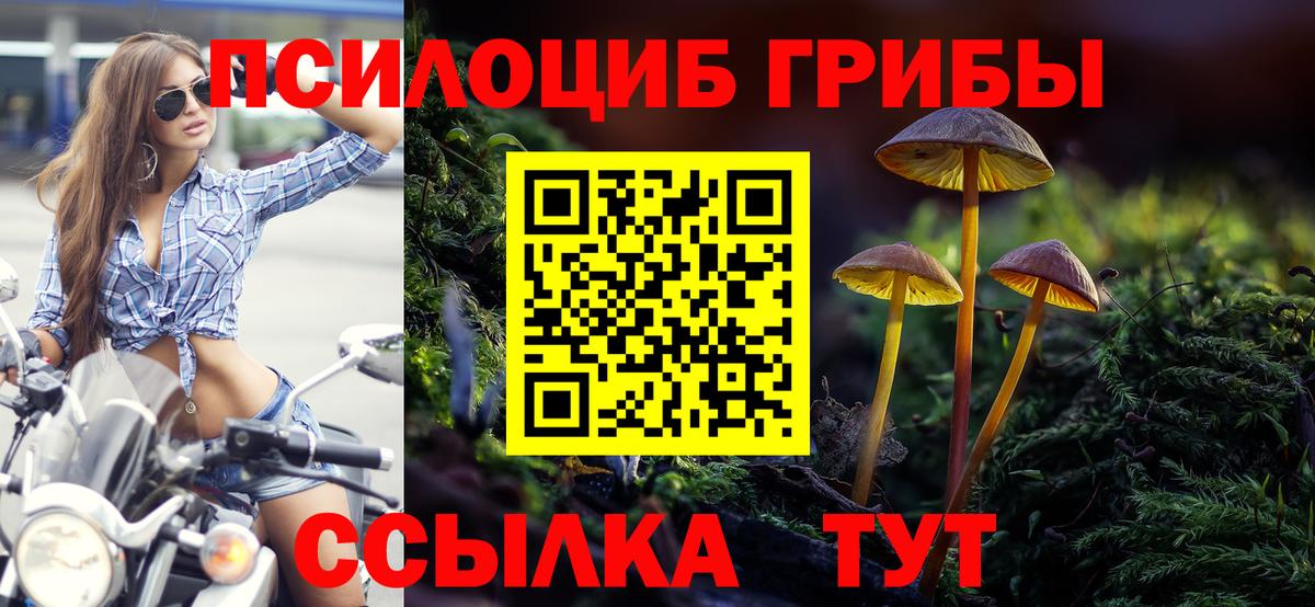 Псилоцибиновые грибы мицелий  Галлюциногенные грибы мухоморы  Вход с VPN  Мариинск 